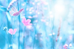 Beautiful wildflowers, butterfly in the dreamy meadow. Shallow depth macro background. Delicate pink and blue colors pastel toned. Greeting card template. Copy space. Nature floral springtime.