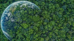 Aerial top view green forest with earth, Green planet in your hands, Save Earth, Texture of forest view from above ecosystem and healthy environment.