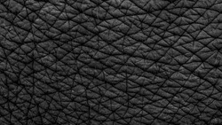 Elephant skin texture abstract background, Asian elephants skin texture, Close up asian elephant reveals the texture of the animal skin.