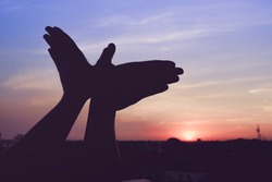silhouette of a hand gesture like bird flying on a background sunset.