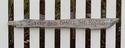 rustic wood sign says (stop and smell roses) in rustic wooden white fence background. Selective focus, street view, travel photo.