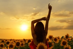 silhouette beautiful young woman in a red dress at sunset posing in a field of sunflowers, against the sky