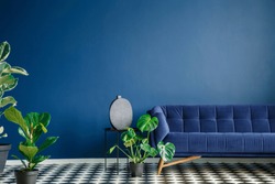 Minimal style interior with big dark blue couch standing on a checkerboard floor against monochromatic empty wall. Lots of green plants. Real photo.
