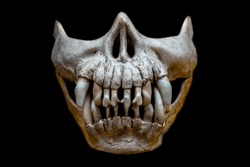 horrible monster skull on halloween day
