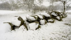 Hunebed or dolmen D16 near the village of Balloo in snowy winter, Drenthe, The Netherlands.