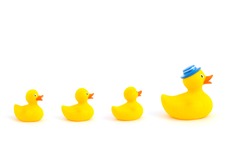 Line of cute rubber ducks and ducklings, isolated on white background.