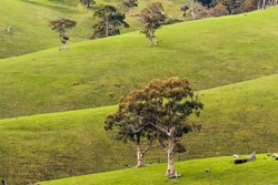 Adelaide Hills vista landscape in winter season, South Australia