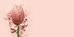 beautiful pink tulip lying on a pink powder.postcard, cosmetics, nature, macro, beauty, naturalness, romance, banner.