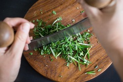 Chopping aromatic herbs with italian mezzaluna knife. Selective focus.