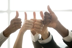 Hands of diverse business team people showing thumbs up like finger gesture as concept of recommendation or good job choice, celebrate great deal, racial equality, successful teamwork, close up view
