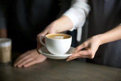 Close up of barista holding aromatic cappuccino, serving it to coffeeshop visitor, waitress giving cup of fresh brewed coffee with milk foam to café guest, bringing latte drink to coffeehouse table