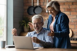 Great surprise. Overjoyed mature married couple on pension scream in delight getting unexpected news of prize award by email. Excited old age spouses read about cash reward in betting on laptop screen