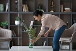 Smiling Indian woman taking care about green plant in cozy living room, pleasant attractive young female tenant renter decorating home, first own apartment, rent or mortgage, interior design concept
