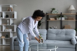 Happy African American woman taking care about green house plant in cozy modern living room at home, smiling young female satisfied tenant homeowner decorating own apartment, interior design concept