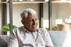 Carefree elderly male relaxing at home seated on comfy couch smiling staring into distance feels happy looks untroubled. Good, wealthy, wellbeing life on retirement, healthy older man portrait concept