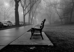 A black and white photo of a foggy city park bench during early winter. The trees are bare and the leaves that does the ground are dead.