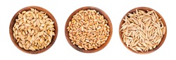 Wheat, oat and barley grains in wooden bowl, isolated on white background. Processed organic dry seeds set. Top view.