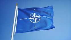NATO flag waving against clean blue sky, close up, isolated with clipping path mask alpha channel transparency