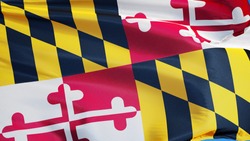 Maryland (U.S. state) flag waving against clear blue sky, close up, isolated with clipping path mask alpha channel transparency, perfect for film, news, composition