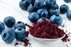 Antioxidant rich Blueberry Powder made freeze dried super food and hand picked wild Nordic berry dry blueberry powder Healthy and trendy food from nature
