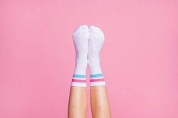 Cropped close-up view of nice vertical feminine legs wearing white casual soft cotton comfortable socks new brandy collection isolated over pink pastel color background