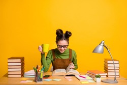 Portrait of her she attractive cheerful focused brainy woman nerd reading book learning grammar drinking beverage staying home isolated bright vivid shine vibrant yellow color background