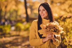 Photo of charming attractive girl model posing for autumn fall park photo session look copyspace hold collect maple leaves wear jumper