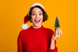 Photo of cheerful funny lady celebrate winter holidays hold little decor fir tree christmas atmosphere good overjoyed mood wear santa cap red knitted sweater isolated yellow color background