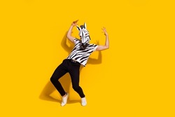 Full size photo of freak absurd guy in zebra mask rocker dance theme festive event hands-up isolated over shine yellow color background