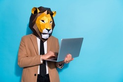 Photo of smart marketer guy wear lion mask use netbook app typing message colleagues isolated over blue color background