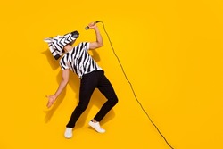 Full length photo of freak famous singer in zebra mask sing mic sound isolated over bright yellow color background