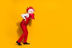 Photo of crazy guy entertaining carnival give absurd performance wear rooster mask red suit isolated yellow color background