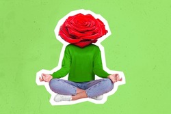 Creative collage image of person meditate headed red rose isolated on illustrated green background