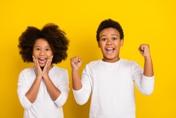 Photo of two astonished crazy positive siblings celebrate luck isolated on yellow color background