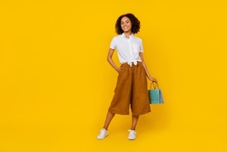 Full body photo of cheerful pretty girl hold small bag posing have good mood isolated on yellow color background