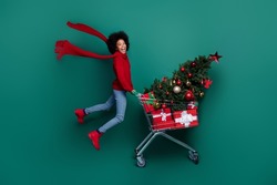Full length photo of adorable little girl jump push shopping christmas cart wear trendy red knitted look isolated on green color background