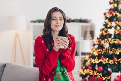 Photo of nice christmas atmosphere woman wear red ugly sweater hold cup of hot tea smells tasty stay home comfortable atmosphere indoors