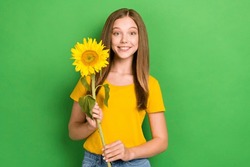 Photo of positive enjoy life beautiful teenage girl hold her favorite yellow sun flower gift from boyfriend isolated on bright green color background