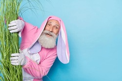 Photo of cheerful excited pensioner guy dressed bunny kigurumi hiding green grass empty space isolated blue color background