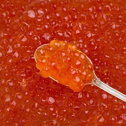 Red caviar eggs on a spoonful of backdrop red caviar close-up, delicacy seafood, top view