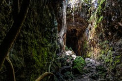 Beautiful dark Cave in Rangitoto Island, New Zealand.