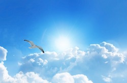 Bird soaring high above the clouds in a heavenly sky