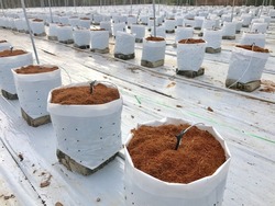 Coconut soil in bag for fertigation farm , Fertigation is related to chemigation, the injection of chemicals into an irrigation system.