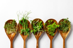 Micro greens in wooden spoon on white background