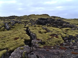 Beautiful landscape with deep rocky fissure on volcanic lava field covered by green moss and lichens near Grindavik, Reykjanes peninsula, Iceland on cloudy winter day.