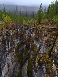 Stunning view of deep ravine at gorge Marble Canyon, Kootenay National Park, British Columbia, Canada on cloudy day in autumn season with green coniferous trees and the remains of burnt trees.