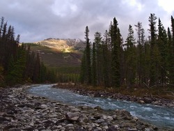 Beautiful view of Sunwapta River in Jasper National Park, Alberta, Canada in the Rocky Mountains surrounded by rocks and coniferous forest in the evening light in autumn with sun shining on mountain.