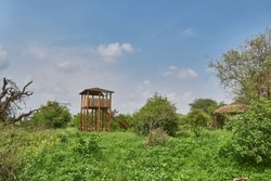 Watch tower in a forest for observing animals
