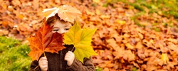 Kids play in autumn park. Children throwing yellow leaves. Child boy with oak and maple leaf. Fall foliage. Family outdoor fun in autumn. Toddler or preschooler in fall