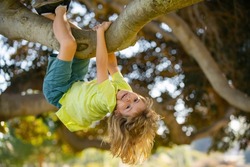 Young child blond boy climbing tree. Happy child playing in the garden climbing on the tree. Kids climbing trees, hanging upside down on a tree in a park. Boy climbs up the tree in summer park.